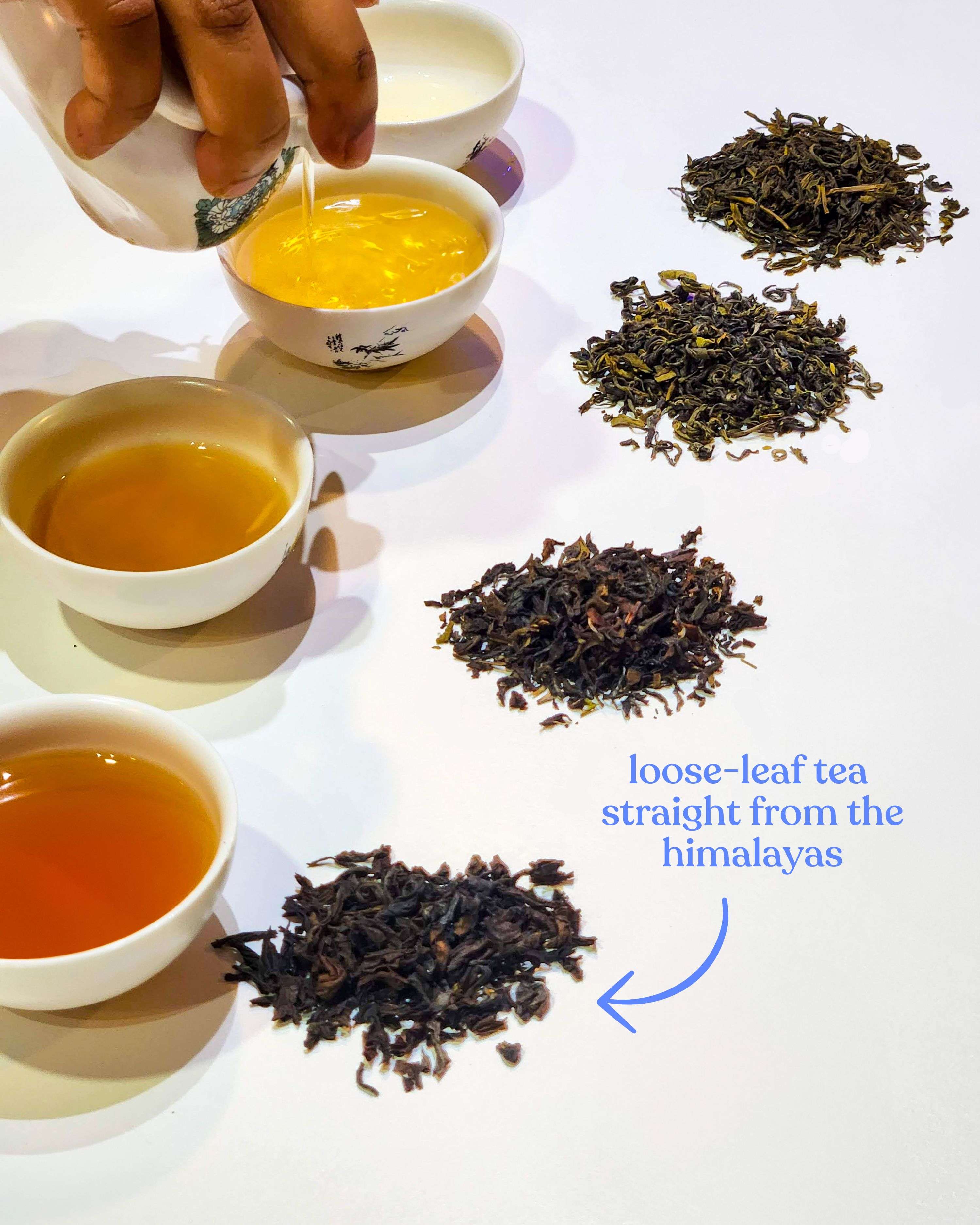 loose leaf kombucha tea pour